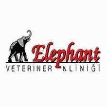 Elephant Veteriner Kliniği İstanbul Beşiktaş