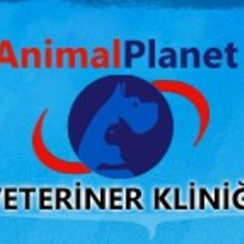 Animal Planet Veteriner Kliniği Kocaeli Darıca