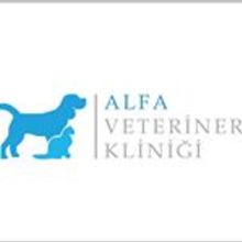 Alfa Veteriner Kliniği İstanbul Beşiktaş