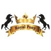 Royal Pony Veteriner Kliniği İstanbul Bakırköy