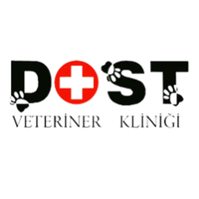 Dost Veteriner Kliniği İstanbul Bahçelievler