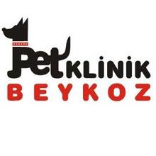Pet Klinik İstanbul Beykoz