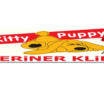 Kitty & Puppy Veteriner Kliniği İstanbul Esenyurt