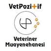 VetPozitif Veteriner Kliniği İstanbul Kadıköy