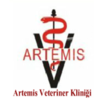 Artemis Veteriner Kliniği İstanbul Kadıköy