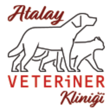 Atalay Veteriner Kliniği İstanbul Kadıköy