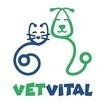 VetVital Veteriner Kliniği Ankara Çankaya