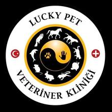 Lucky Pet Veteriner Kliniği İstanbul Kadıköy