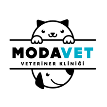 ModaVet Veteriner Kliniği İstanbul Kadıköy