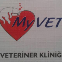 MyVet Veteriner Kliniği İstanbul Kadıköy