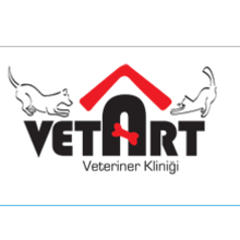 VetArt Veteriner Kliniği İstanbul Üsküdar