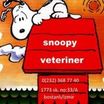 Snoopy Veteriner Kliniği İzmir Karşıyaka
