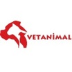 Vet Animal Veteriner Kliniği İstanbul Kadıköy
