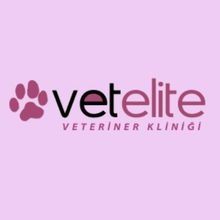 Vetelite Veteriner Kliniği İstanbul Kadıköy