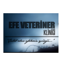 Efe Veteriner Kliniği İzmir Tire