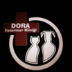 Dora Veteriner Kliniği Ankara Altındağ