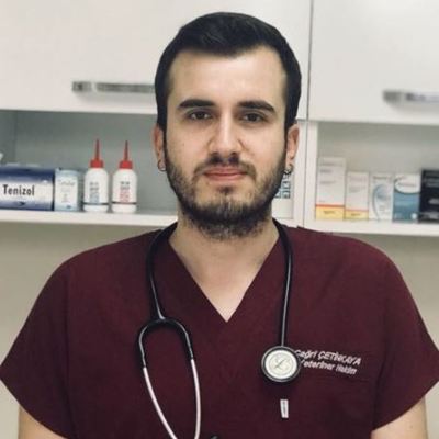Veteriner Hekim Çağrı  Çetinkaya Arlen Veteriner Kliniği İstanbul