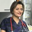 Veteriner Hekim Bilsay  Kömürcü Ares Veteriner Kliniği İstanbul