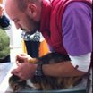 Veteriner Hekim Ozan  Mutlu City Pet Veteriner Tanı ve Tedavi Merkezi İstanbul