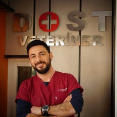 Veteriner Hekim Eser Ozan Yıldırım Dost Veteriner Kliniği İstanbul