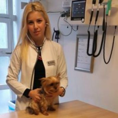 Veteriner Hekim Fulya  Tuygun Gold Veteriner Kliniği İstanbul