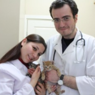 Veteriner Hekim Olcay Ünal Pet Doctors Veteriner Kliniği İstanbul
