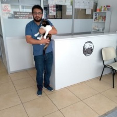 Veteriner Hekim Tarık Gürbüz Dünya Veteriner Kliniği İstanbul