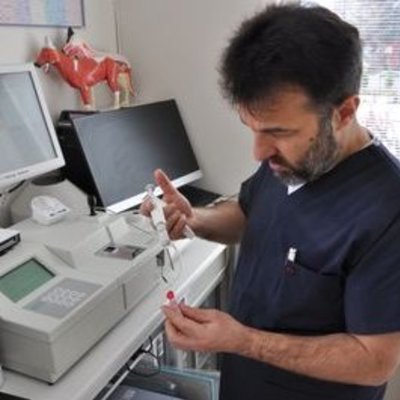 Veteriner Hekim Kemal  Altunbaş Göztepe Veteriner Kliniği İstanbul
