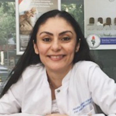 Veteriner Hekim Örge Meral  Korkmaz Ortaç Petville Veteriner Kliniği İstanbul