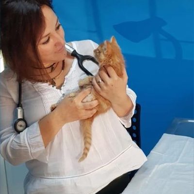 Veteriner Hekim Başak  Bacıoğlu Akdeniz Veteriner Kliniği İstanbul